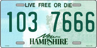 NH license plate 1037666