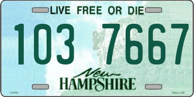 NH license plate 1037667