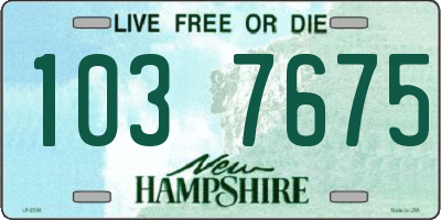 NH license plate 1037675