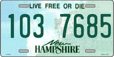 NH license plate 1037685