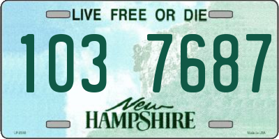 NH license plate 1037687