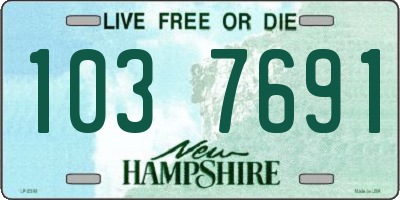 NH license plate 1037691