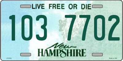 NH license plate 1037702