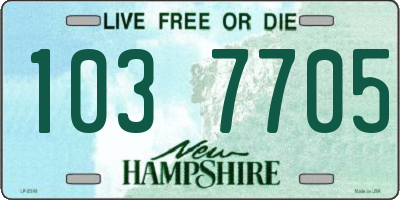 NH license plate 1037705
