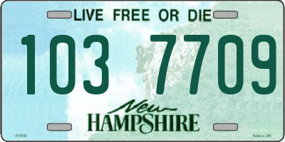 NH license plate 1037709