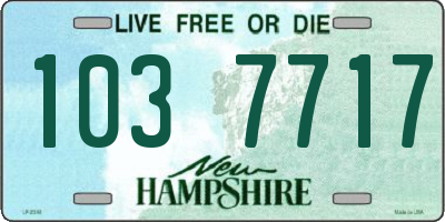 NH license plate 1037717