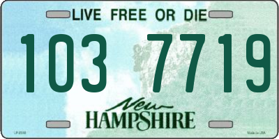 NH license plate 1037719