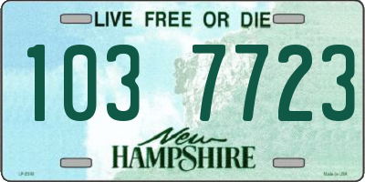 NH license plate 1037723