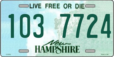 NH license plate 1037724
