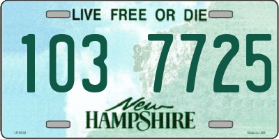 NH license plate 1037725