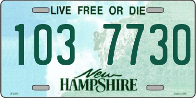 NH license plate 1037730