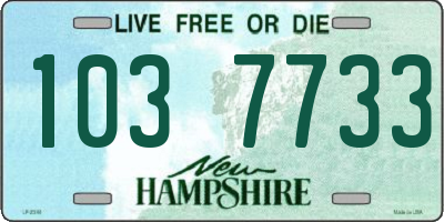 NH license plate 1037733