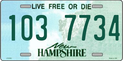 NH license plate 1037734