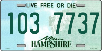 NH license plate 1037737