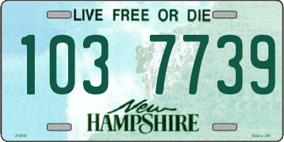 NH license plate 1037739