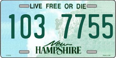NH license plate 1037755