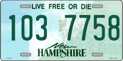 NH license plate 1037758
