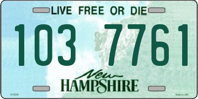 NH license plate 1037761