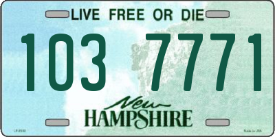 NH license plate 1037771