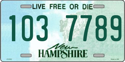 NH license plate 1037789