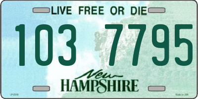 NH license plate 1037795
