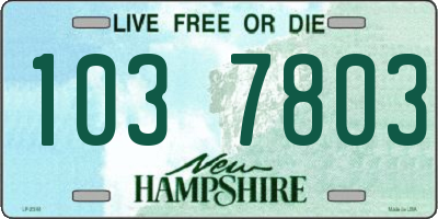 NH license plate 1037803