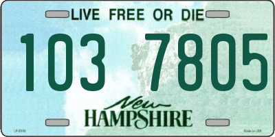 NH license plate 1037805