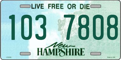 NH license plate 1037808