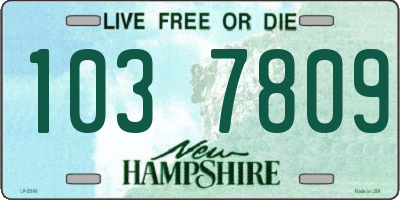 NH license plate 1037809