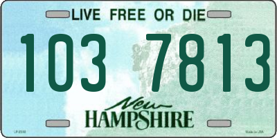 NH license plate 1037813