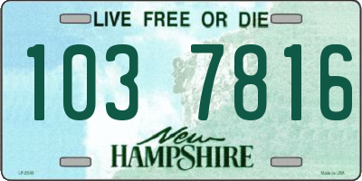 NH license plate 1037816