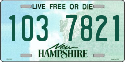 NH license plate 1037821