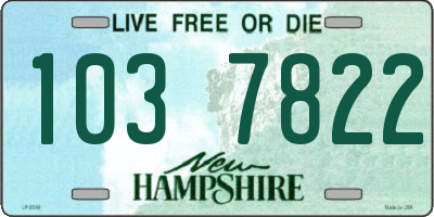 NH license plate 1037822