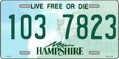 NH license plate 1037823