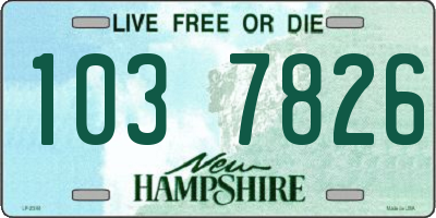 NH license plate 1037826