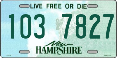 NH license plate 1037827