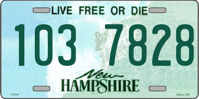 NH license plate 1037828