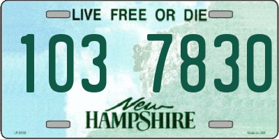 NH license plate 1037830