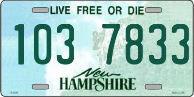 NH license plate 1037833