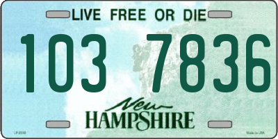 NH license plate 1037836