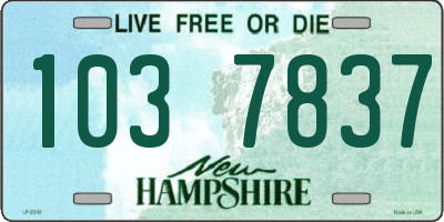 NH license plate 1037837