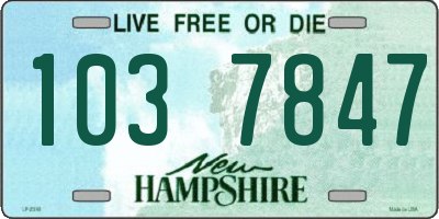 NH license plate 1037847