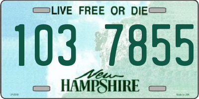 NH license plate 1037855