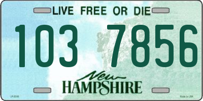 NH license plate 1037856