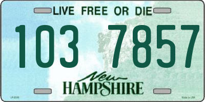 NH license plate 1037857