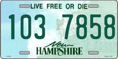 NH license plate 1037858
