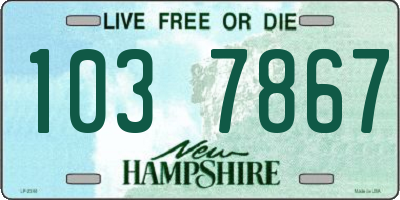 NH license plate 1037867