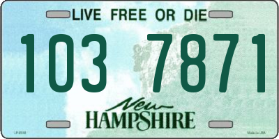 NH license plate 1037871