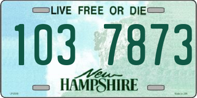 NH license plate 1037873