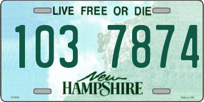 NH license plate 1037874